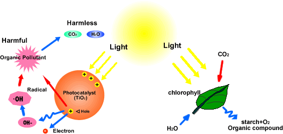 Principle Of Photocatalytic Titanium Dioxide Principle Of Photocatalytic Titanium Dioxide